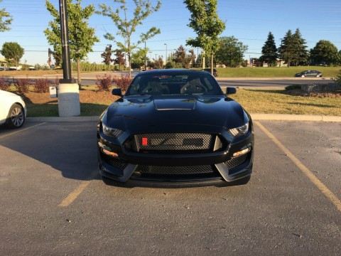 2016 Shelby GT350R for sale