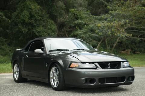2003 Ford Mustang SVT Cobra Convertible for sale