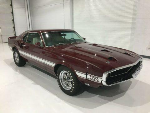 1969 Shelby GT350 for sale