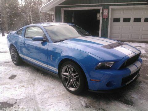 2010 Shelby GT500 for sale