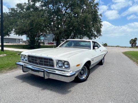 1973 Ford Torino for sale