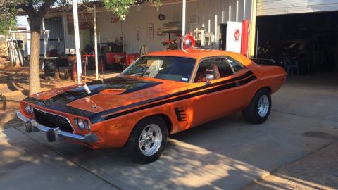 1973 Dodge Challenger for sale