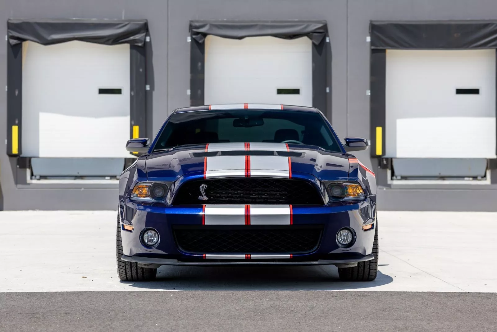 2010 Shelby GT500