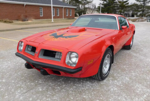 1975 Pontiac Trans Am for sale