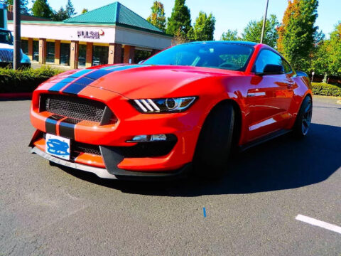 2019 Shelby GT350 for sale