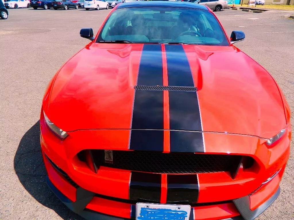 2019 Shelby GT350