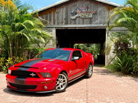 2008 Shelby GT500 for sale