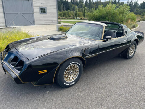 1979 Pontiac Trans Am for sale