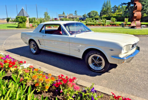1966 Ford Mustang for sale