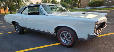 1967 Pontiac GTO for sale
